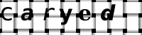 CAPTCHA-Bild