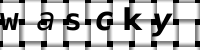 CAPTCHA-Bild